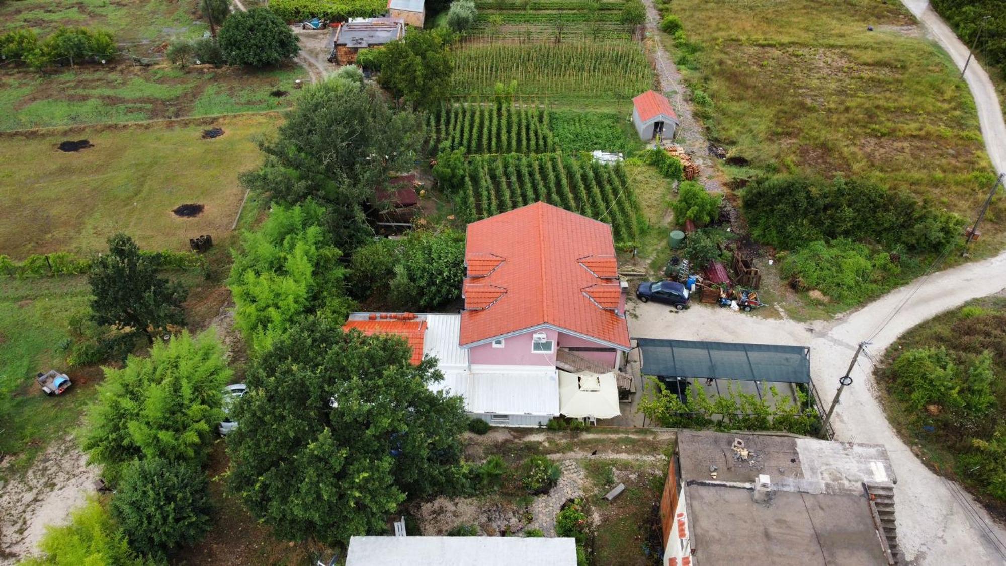 Apartman Balsa Kotor Buitenkant foto